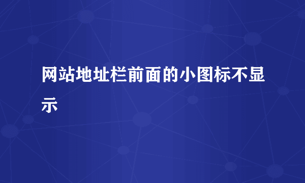 网站地址栏前面的小图标不显示