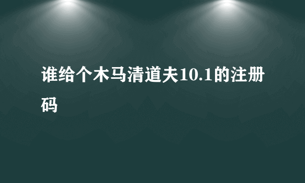 谁给个木马清道夫10.1的注册码