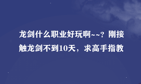 龙剑什么职业好玩啊~~？刚接触龙剑不到10天，求高手指教