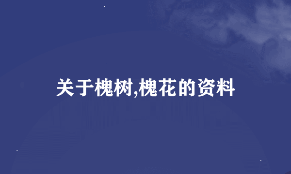 关于槐树,槐花的资料