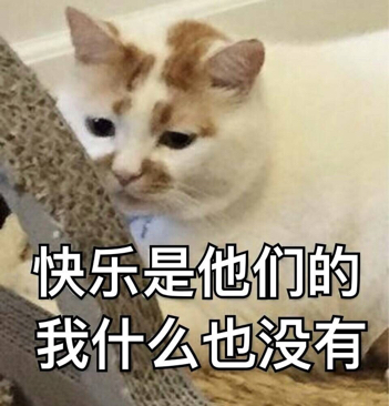 这是啥子猫