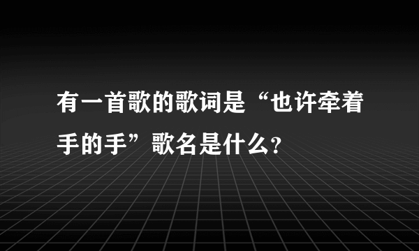 有一首歌的歌词是“也许牵着手的手”歌名是什么？