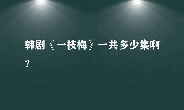 韩剧《一枝梅》一共多少集啊？