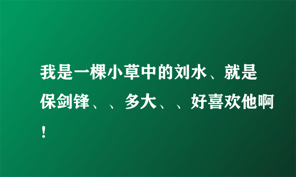 我是一棵小草中的刘水、就是保剑锋、、多大、、好喜欢他啊！