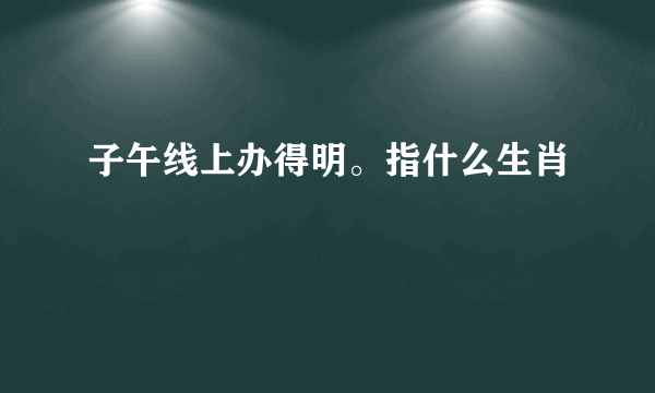 子午线上办得明。指什么生肖