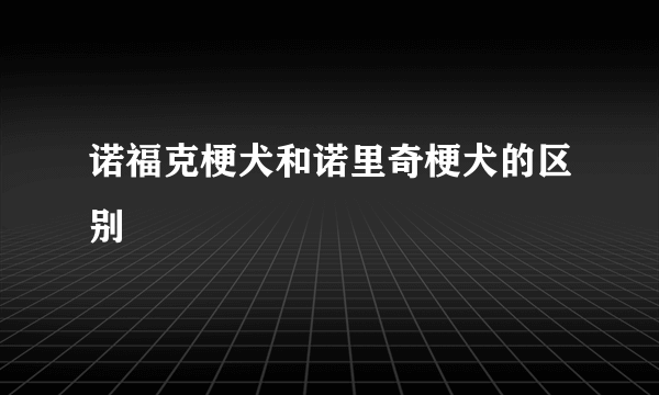 诺福克梗犬和诺里奇梗犬的区别