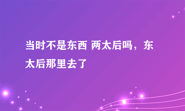 当时不是东西 两太后吗，东太后那里去了