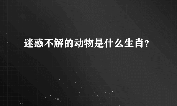 迷惑不解的动物是什么生肖？