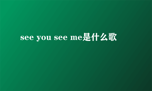 see you see me是什么歌