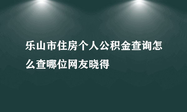 乐山市住房个人公积金查询怎么查哪位网友晓得