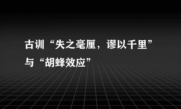 古训“失之毫厘，谬以千里”与“胡蜂效应”