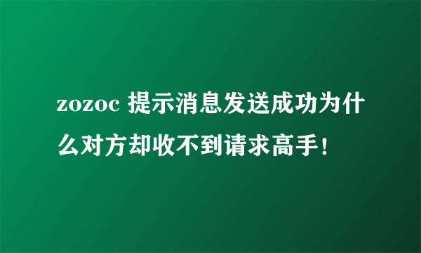 zozoc 提示消息发送成功为什么对方却收不到请求高手！