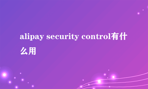 alipay security control有什么用