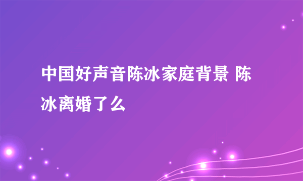 中国好声音陈冰家庭背景 陈冰离婚了么