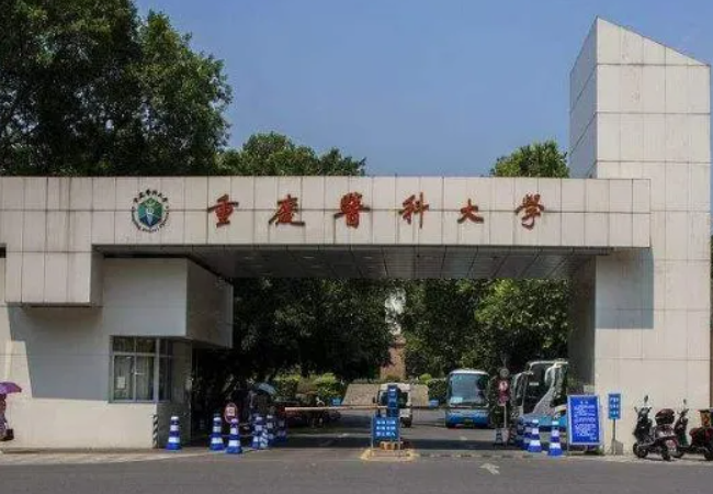 2022重庆十大名校排名大学