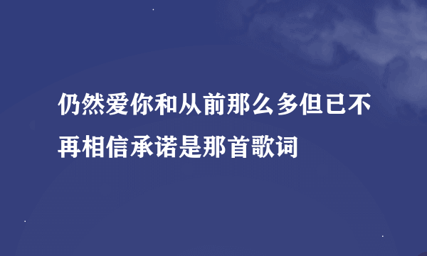 仍然爱你和从前那么多但已不再相信承诺是那首歌词