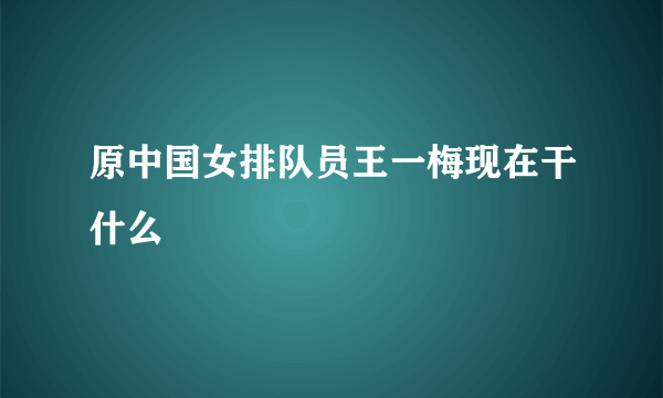 原中国女排队员王一梅现在干什么