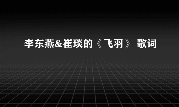 李东燕&崔琰的《飞羽》 歌词