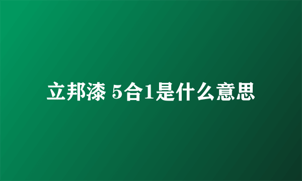 立邦漆 5合1是什么意思