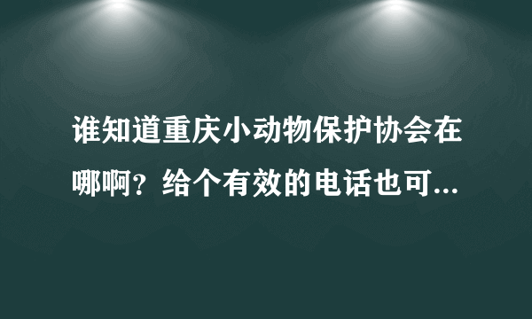 谁知道重庆小动物保护协会在哪啊？给个有效的电话也可以！！！