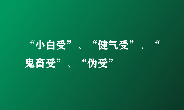 “小白受”、“健气受”、“鬼畜受”、“伪受”