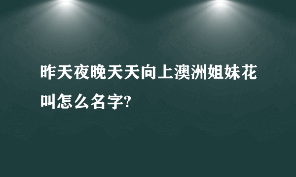 昨天夜晚天天向上澳洲姐妹花叫怎么名字?