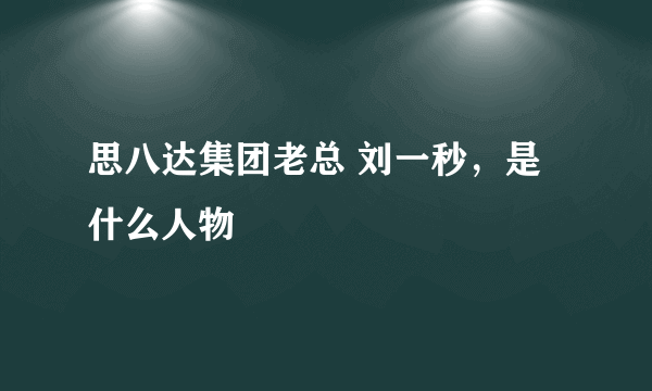 思八达集团老总 刘一秒，是什么人物