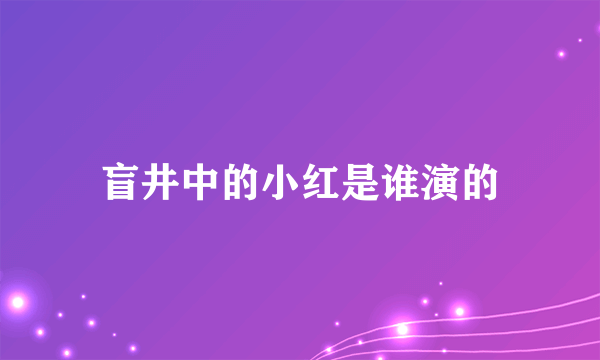 盲井中的小红是谁演的