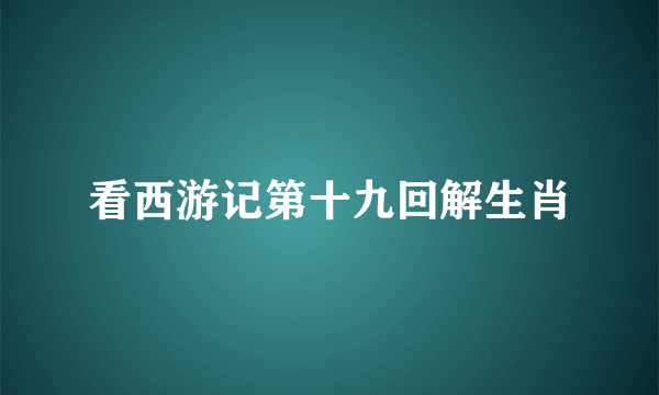 看西游记第十九回解生肖