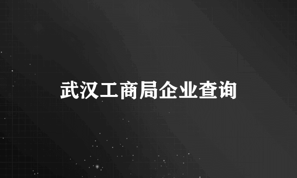 武汉工商局企业查询