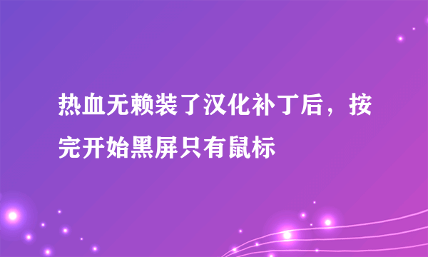 热血无赖装了汉化补丁后，按完开始黑屏只有鼠标