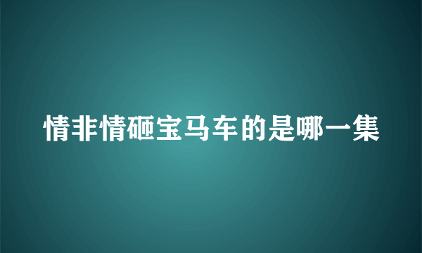 情非情砸宝马车的是哪一集