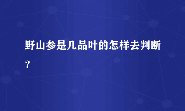 野山参是几品叶的怎样去判断？