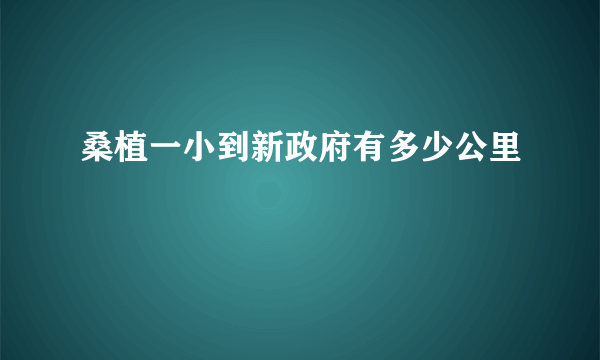 桑植一小到新政府有多少公里