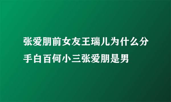 张爱朋前女友王瑞儿为什么分手白百何小三张爱朋是男