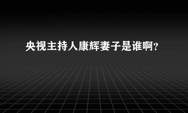 央视主持人康辉妻子是谁啊？