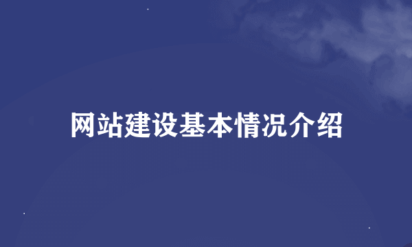 网站建设基本情况介绍