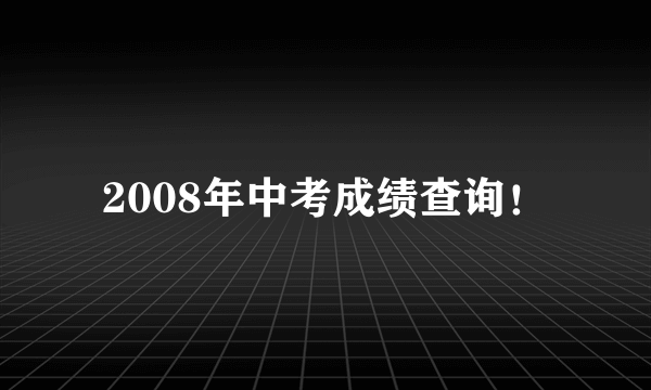 2008年中考成绩查询！