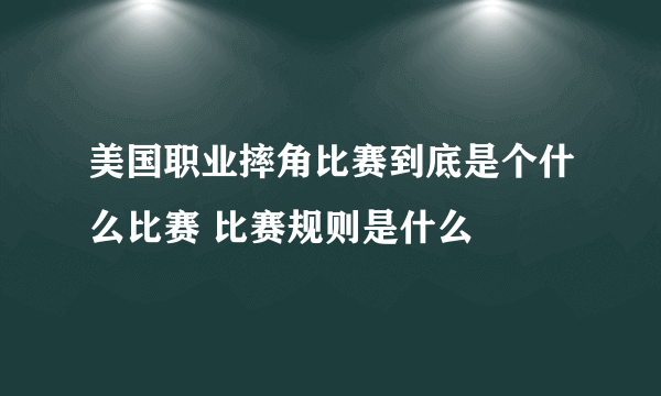 美国职业摔角比赛到底是个什么比赛 比赛规则是什么