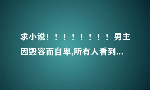 求小说！！！！！！！！男主因毁容而自卑,所有人看到他都害怕，只有