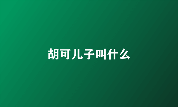 胡可儿子叫什么