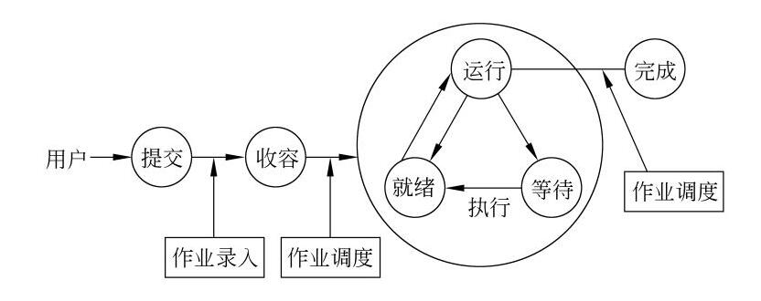 什么是操作性定义 ？