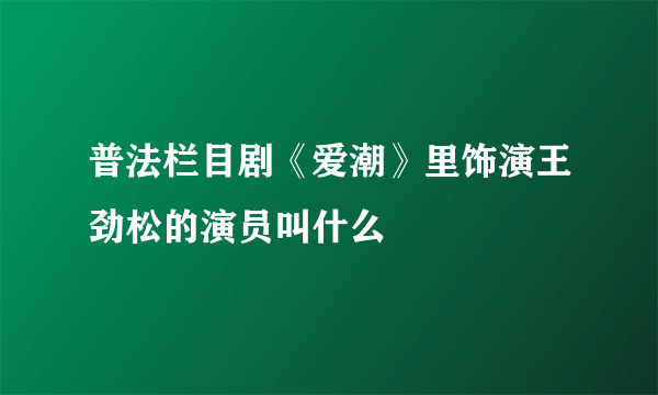 普法栏目剧《爱潮》里饰演王劲松的演员叫什么