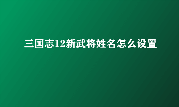 三国志12新武将姓名怎么设置