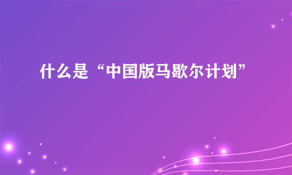 什么是“中国版马歇尔计划”