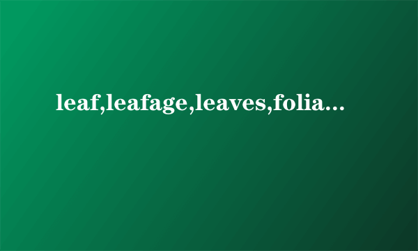 leaf,leafage,leaves,foliage之间的区别是什么?