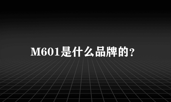 M601是什么品牌的？