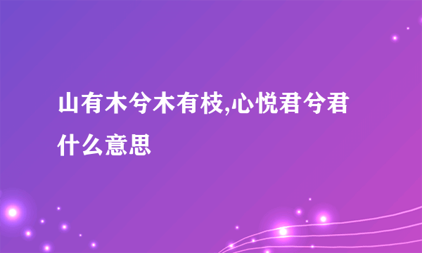 山有木兮木有枝,心悦君兮君什么意思