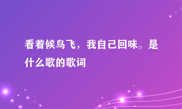 看着候鸟飞，我自己回味。是什么歌的歌词