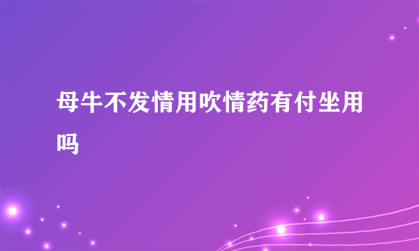 母牛不发情用吹情药有付坐用吗